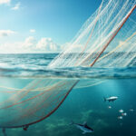 File de Pêche: Évolution et innovations durables