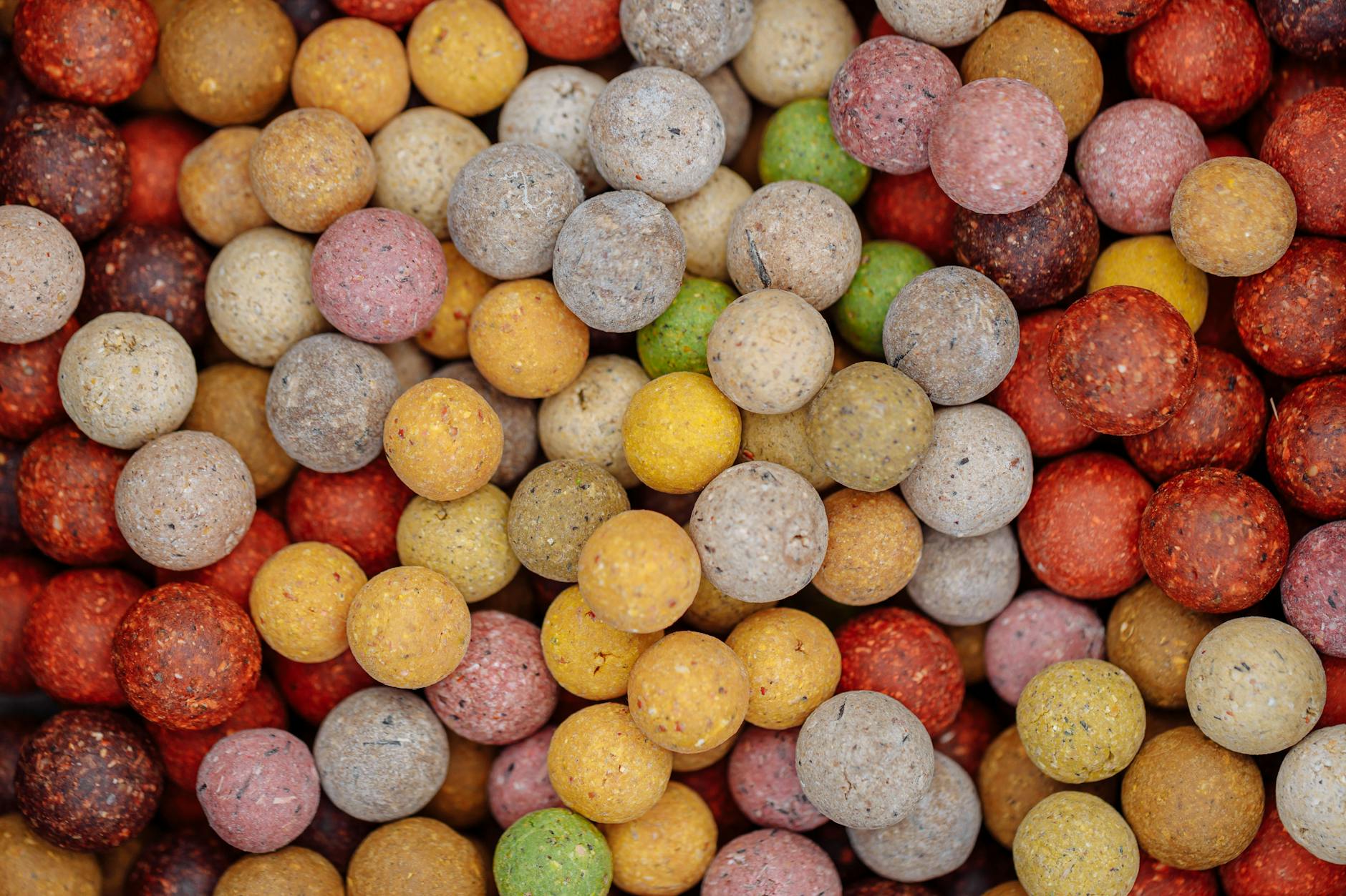 Gros plan des appâts de carpe colorés, présentant une variété de teintes et de textures vibrantes.